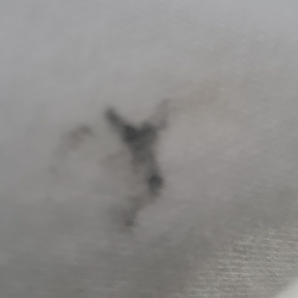 Disney White Hoodie with Winnie‎ the Pooh and Friends Medium - Picture 11 of 12